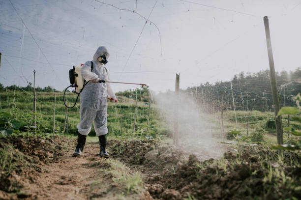 Best Pest Prevention Services  in Stearns, KY