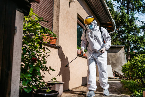 Best Pest Control Near Me in Stearns, KY