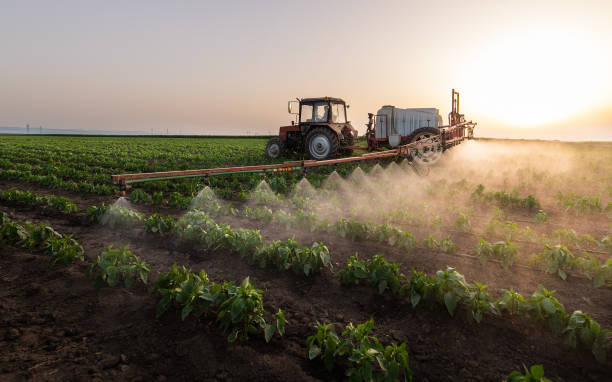 Reliable Stearns, KY Pest Control Solutions