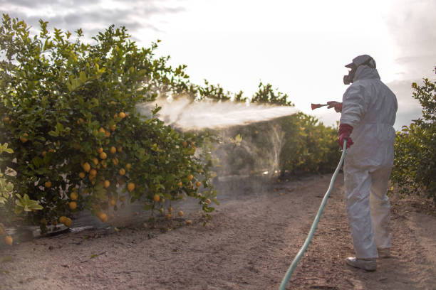 Professional Pest Control in Stearns, KY