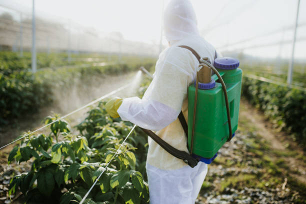 Best Pest Control Near Me  in Stearns, KY
